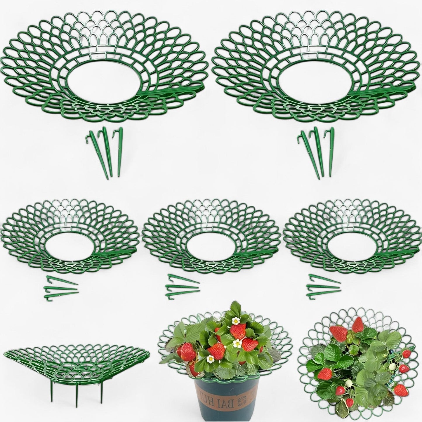 Erdbeer-Pflanzenstützen für gesundes Wachstum