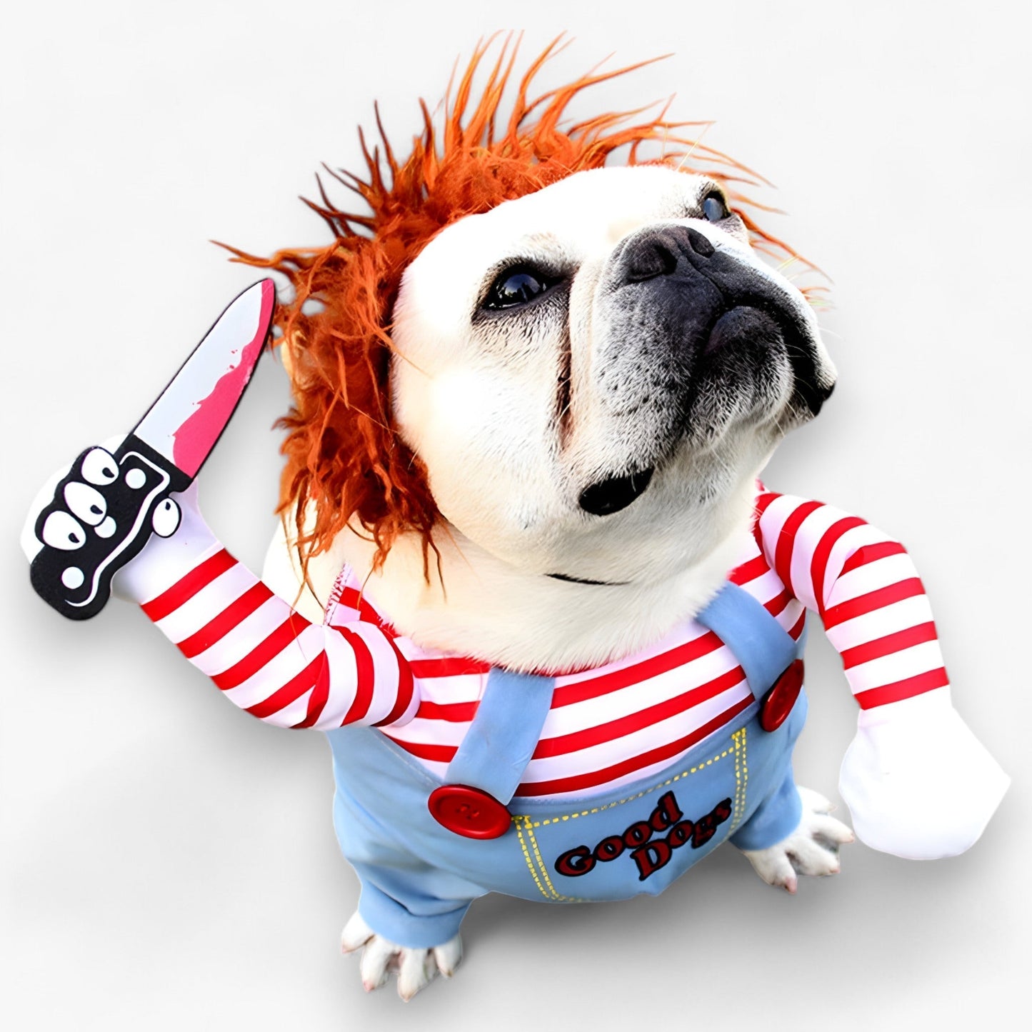 Halloween-Kostüm für Haustiere - Lustiges Messer-Kostüm