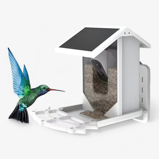 Auxco | Intelligenter Vogelbr feeder