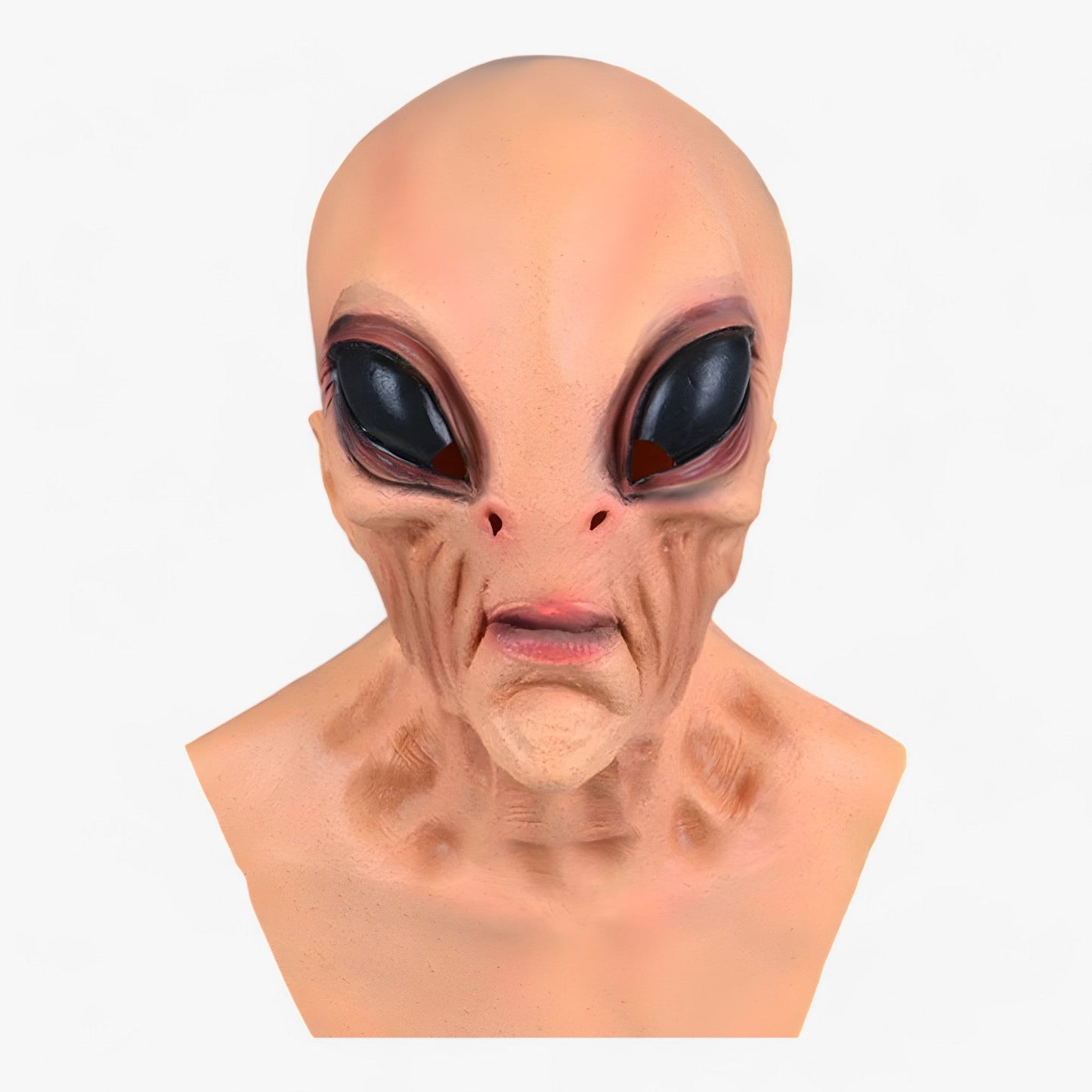 Victor | Latex-Kopf-Skelettmaske Halloween - Skelett-Effekt für Kostüm und Dekoration