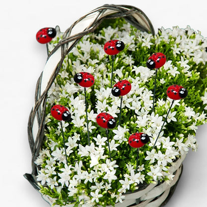 Marienkäfer Gartenstecker Set 10 Stück