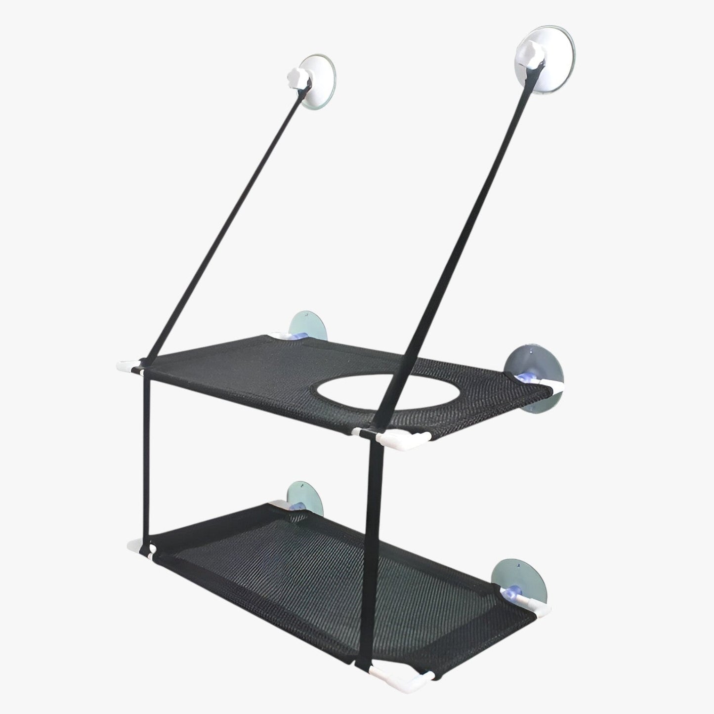 Simba | Sonnige Fensterkatze