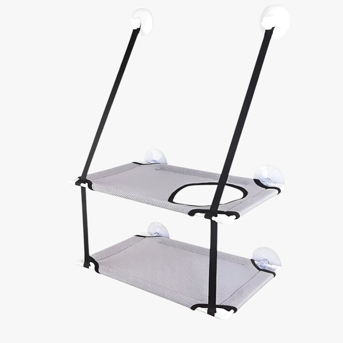 Simba | Sonnige Fensterkatze