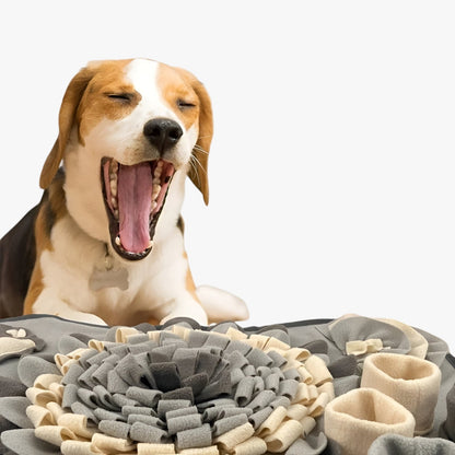 Sparky | Interaktives Schnüffelteppich für Hunde