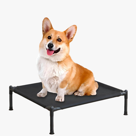 Lincoln | Tragbares faltbares, waschbares und bequemes Haustierbett für den Außenbereich