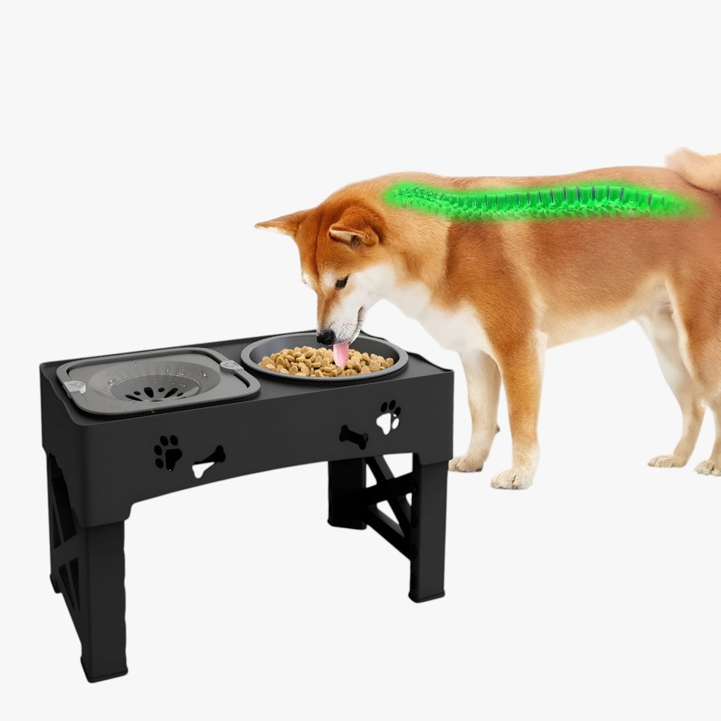 Logan | 3-in-1 Schüssel verstellbar für langsame und bequeme Fütterung in jeder Höhe