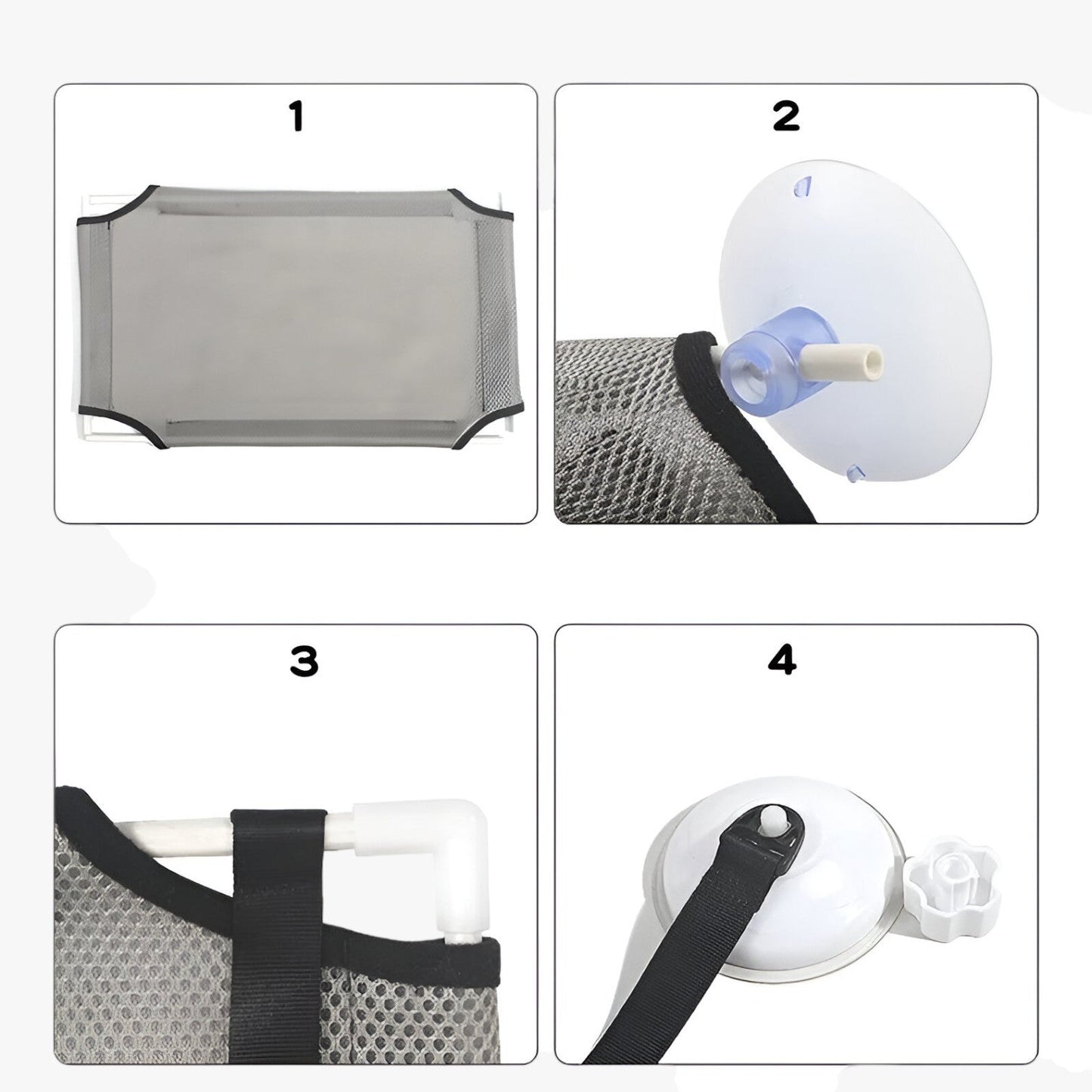 Simba | Sonnige Fensterkatze