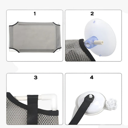 Simba | Sonnige Fensterkatze