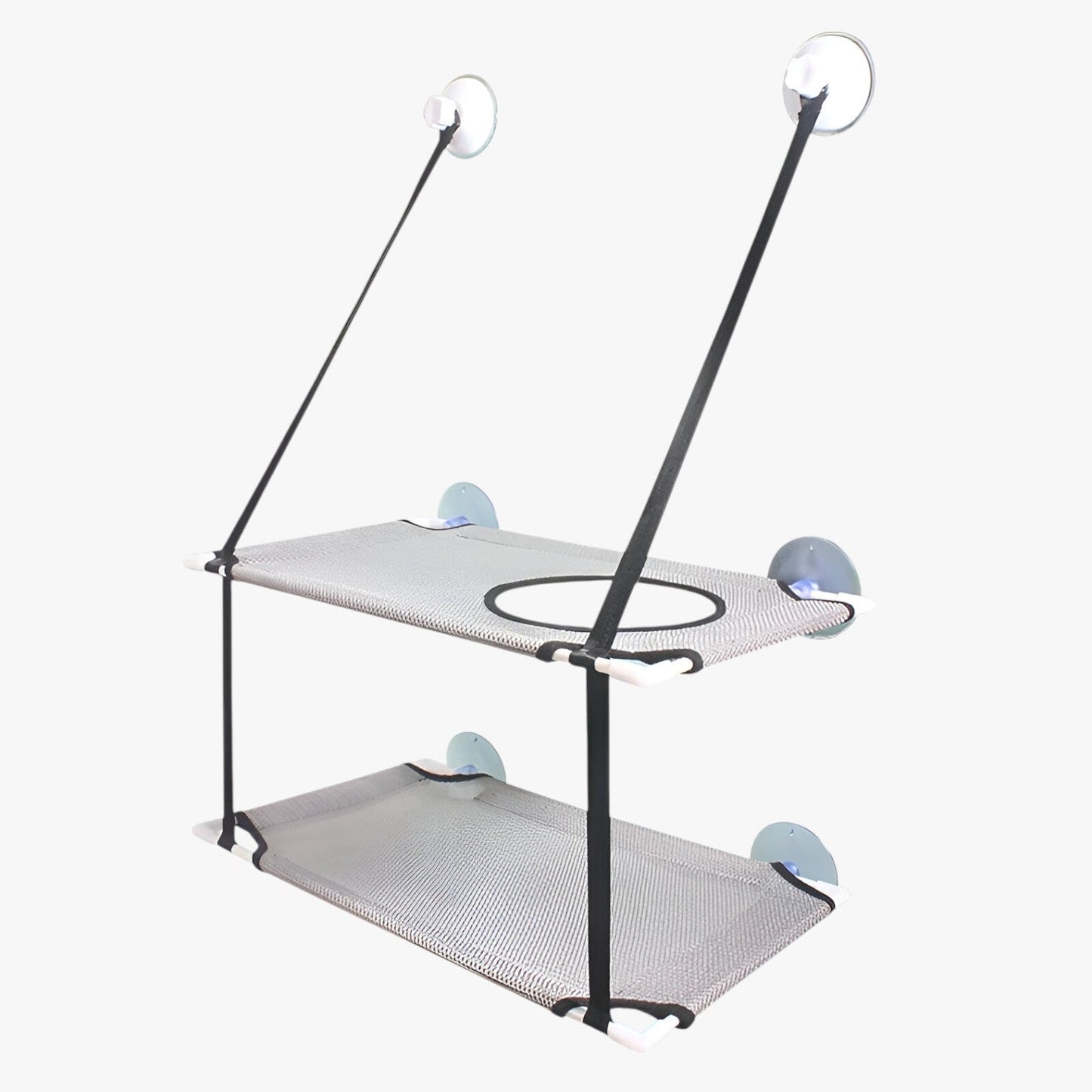 Simba | Sonnige Fensterkatze