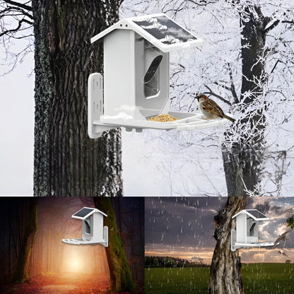 Auxco | Intelligenter Vogelbr feeder