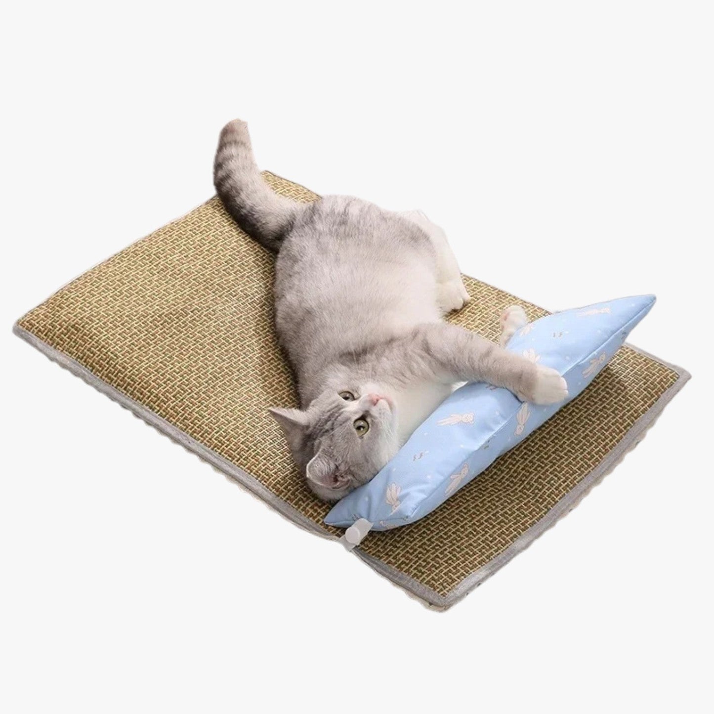 Frankie | Erfrischende Sommerdecke für Katzen und Hunde