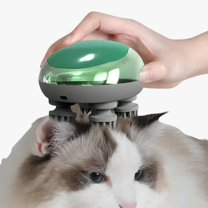 Kayden | Tiefe Massage für Katzen und Hunde Wohlbefinden auf Pfotengröße