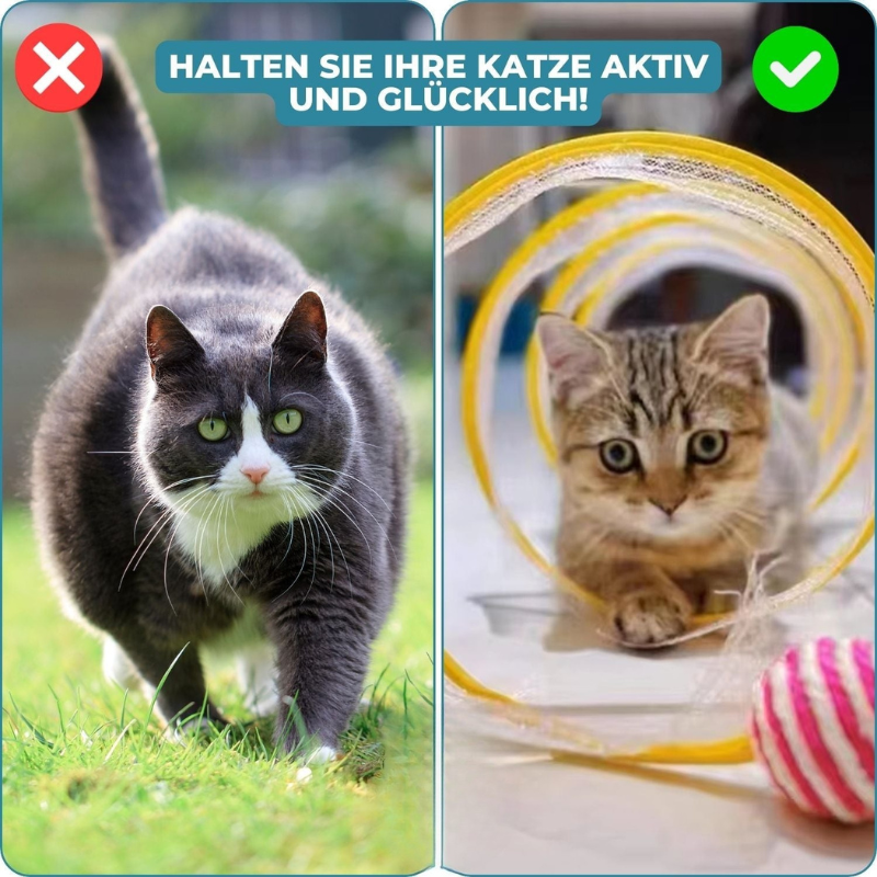 KittyMaze™ | Faltbarer Katzentunnel mit integrierten Spielzeugen