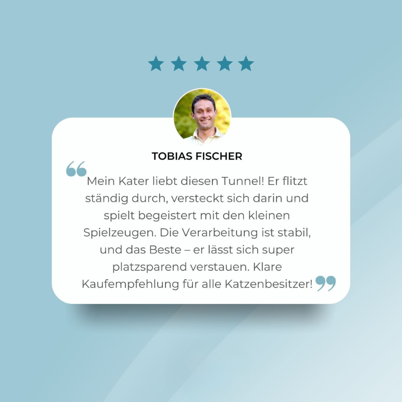 KittyMaze™ | Faltbarer Katzentunnel mit integrierten Spielzeugen