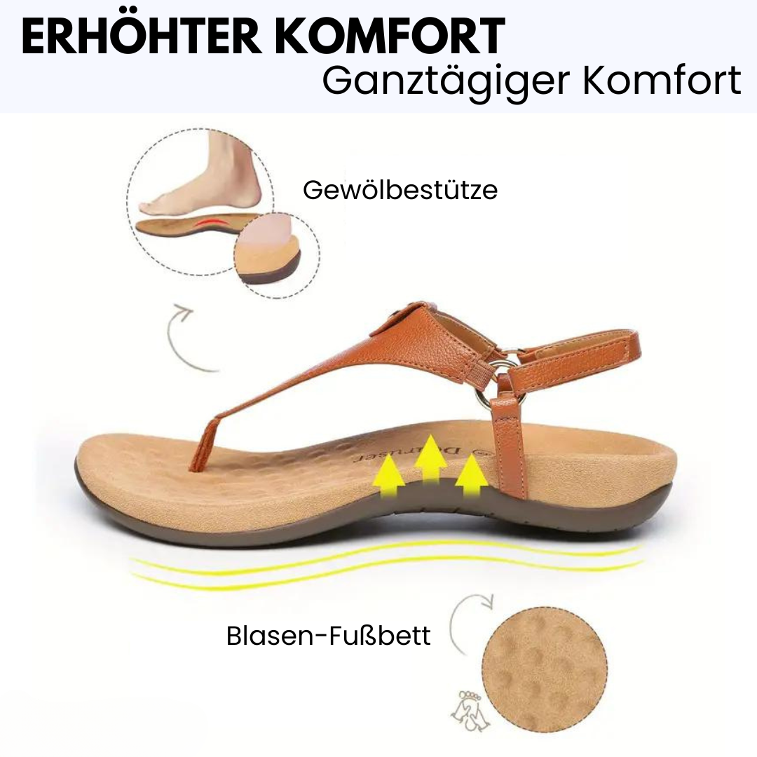 HikeHub - OrthoSenna