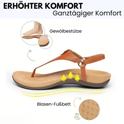 HikeHub - OrthoSenna