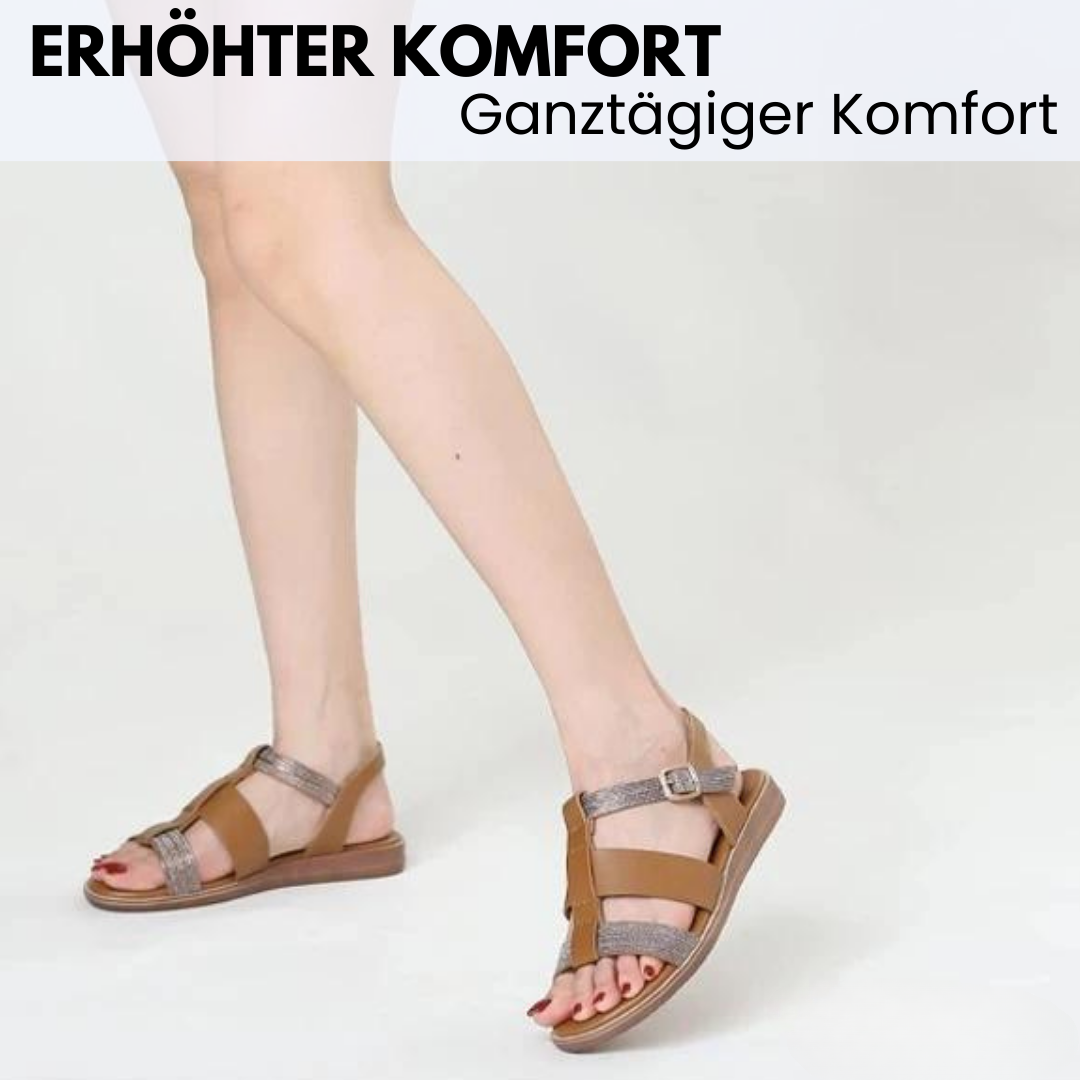 HikeHub - OrthoSun Pro