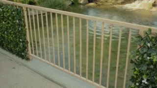 EcoScreen™ Privatsphäre in Ihrem Garten oder auf Ihrem Balkon