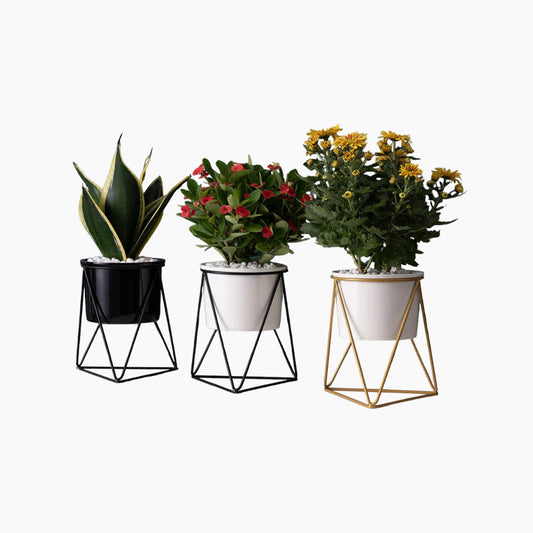 Blumentopf aus Keramik mit Eisenständer | Moderner Übertopf für Luftpflanzen und Sukkulenten