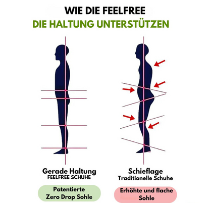 HikeHub - FeelFree Ergo