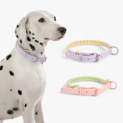 PAWFECT PALS | Hundehalsband-Set - Auffälliges Design mit langlebigem PVC