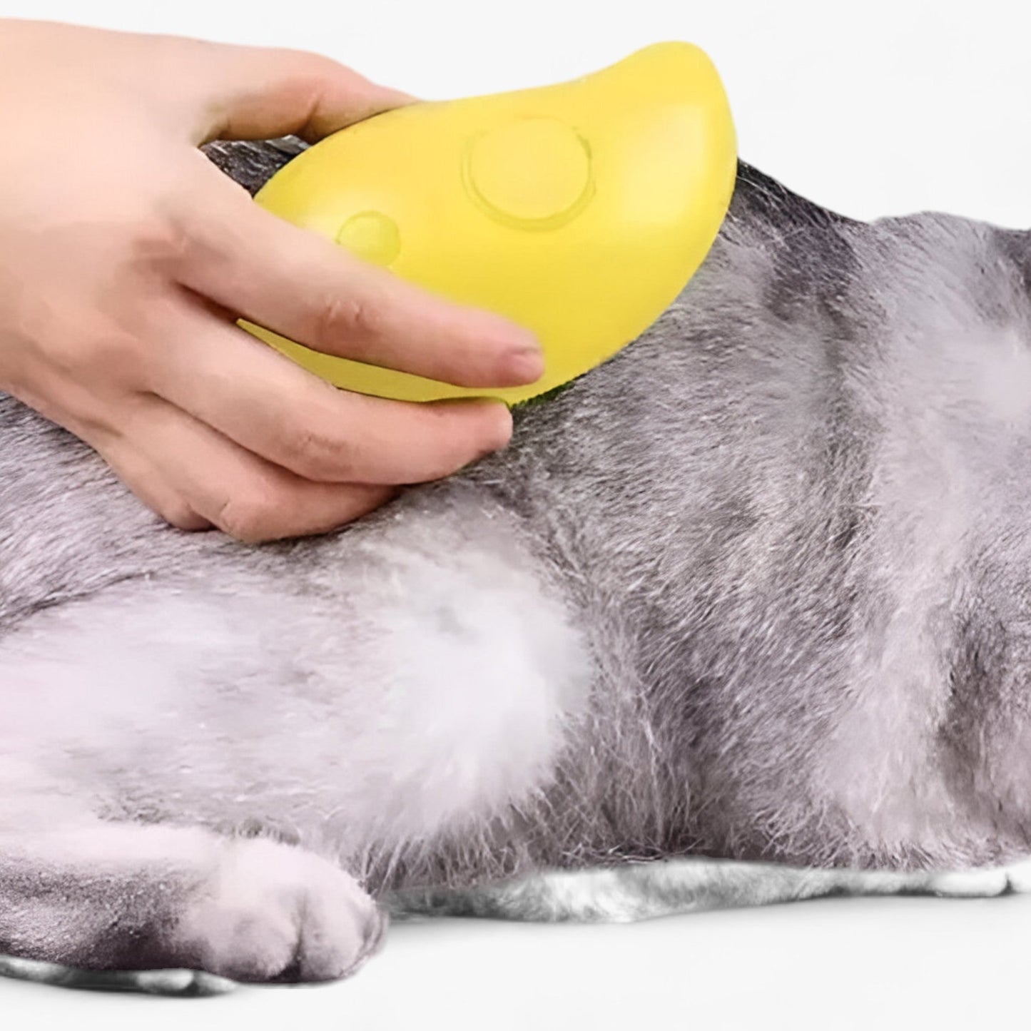 PET | All-in-One Haustierpflegewerkzeug - Verbessert die Pflege mit Dampf und Massage