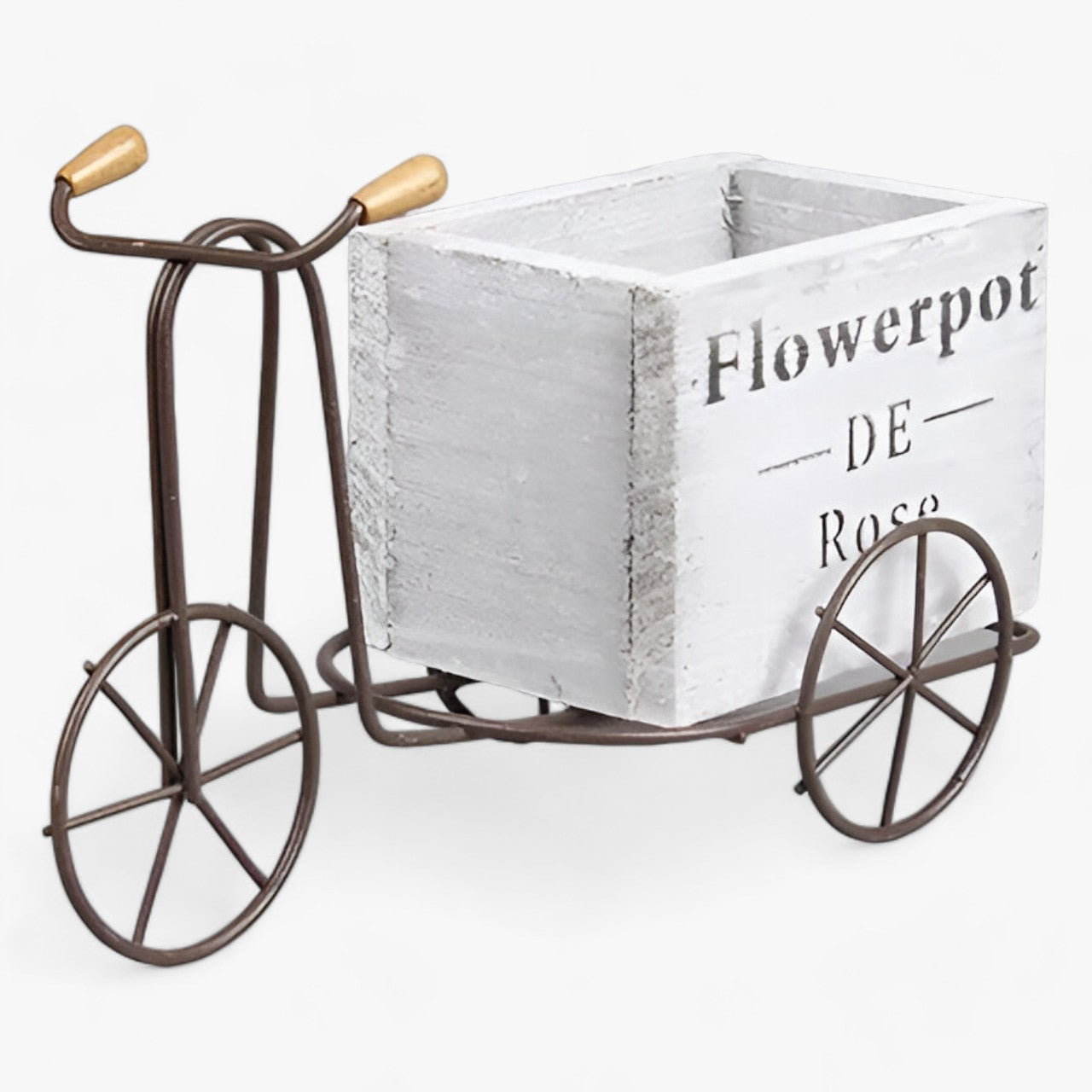 PedalBlüte | Retro-Blumentopf - Verspielte Sukkulentenausstellung