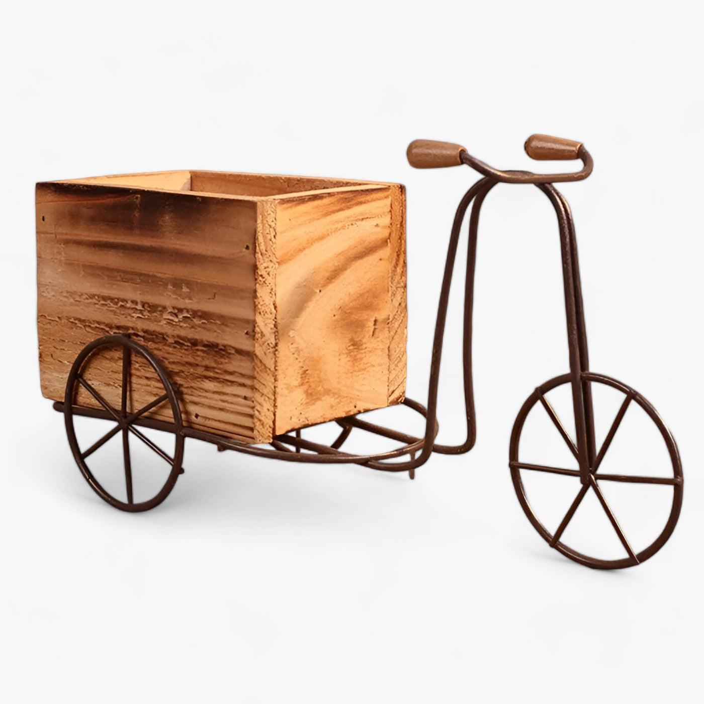 PedalBlüte | Retro-Blumentopf - Verspielte Sukkulentenausstellung