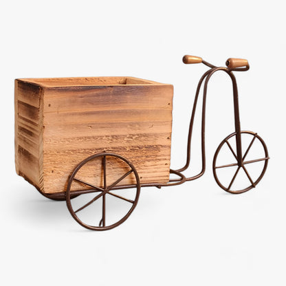 PedalBlüte | Retro-Blumentopf - Verspielte Sukkulentenausstellung