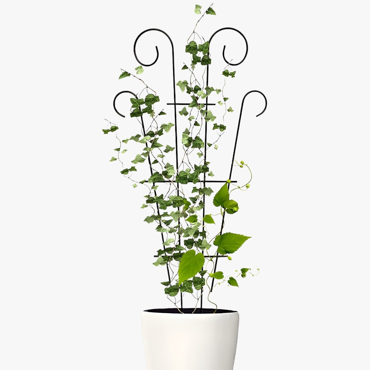 GreenClimb | Pflanzenrahmen - Wachstum und Schönheit fördern