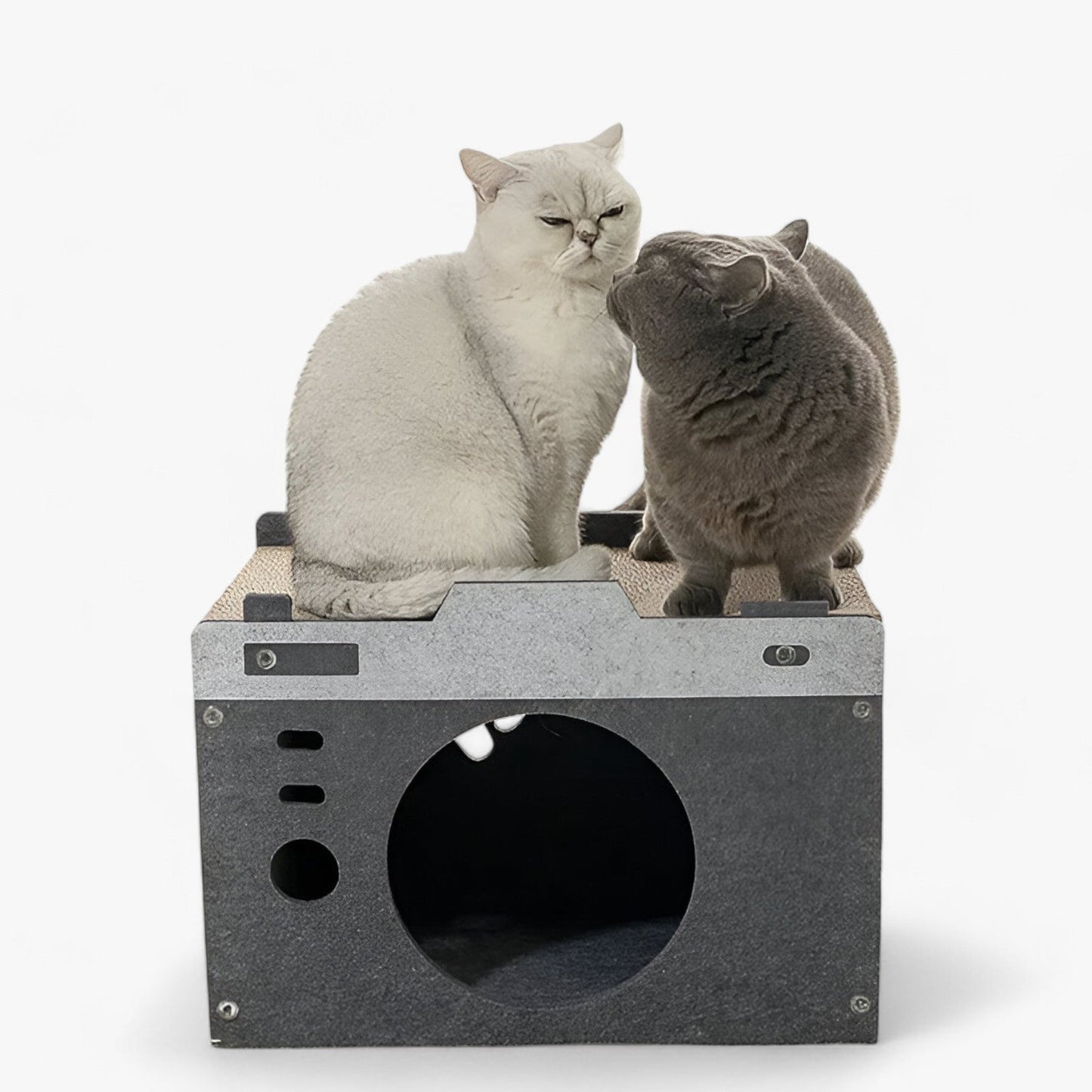 Kratz- und Ruheplatz für Katzen - Perfekte Kombination aus Komfort und Spiel