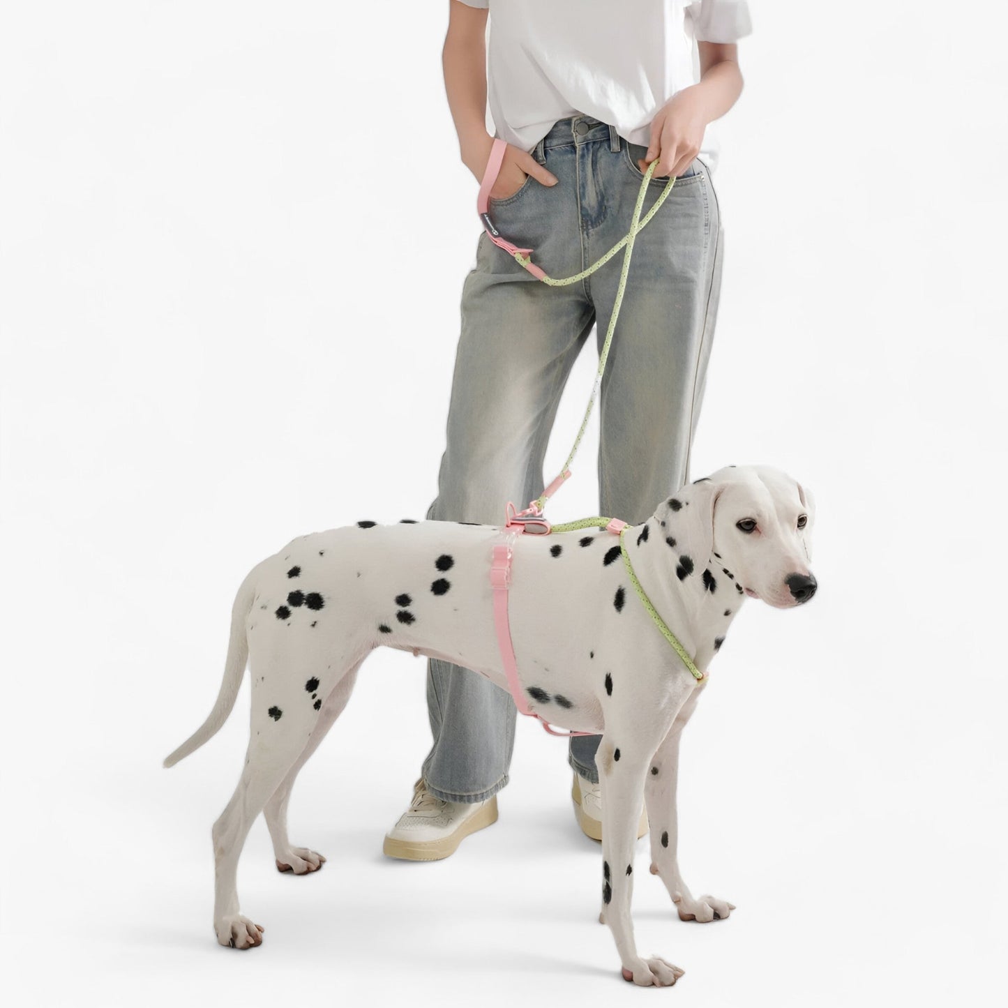 PAWFECT PALS | Hundehalsband-Set - Auffälliges Design mit langlebigem PVC