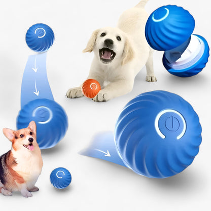BOUNCY | Intelligentes Hundespielzeug - Engagierend und Interaktiv für Viel Spaß