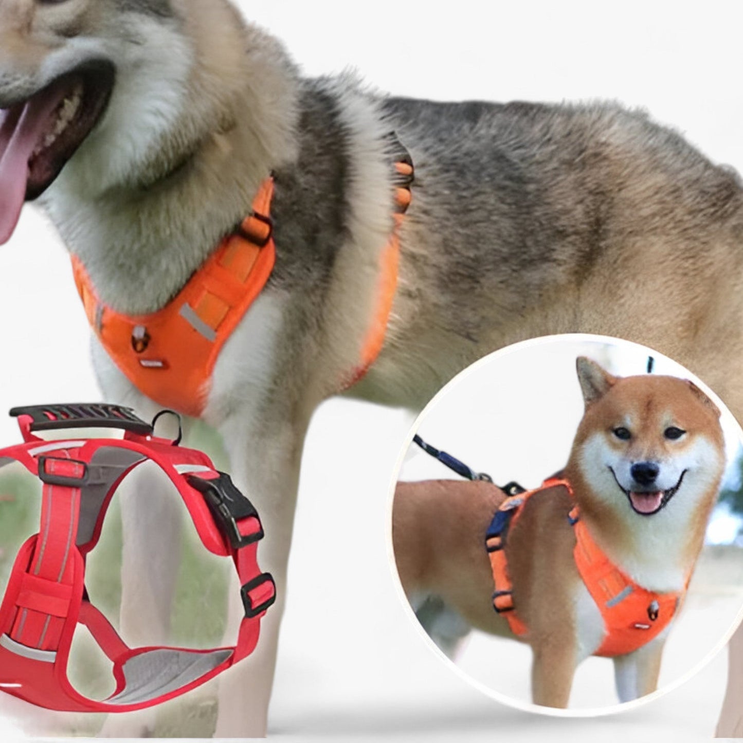 Buddy | Hunde-Anti-Zug-Geschirr - Verbesserte Kontrolle