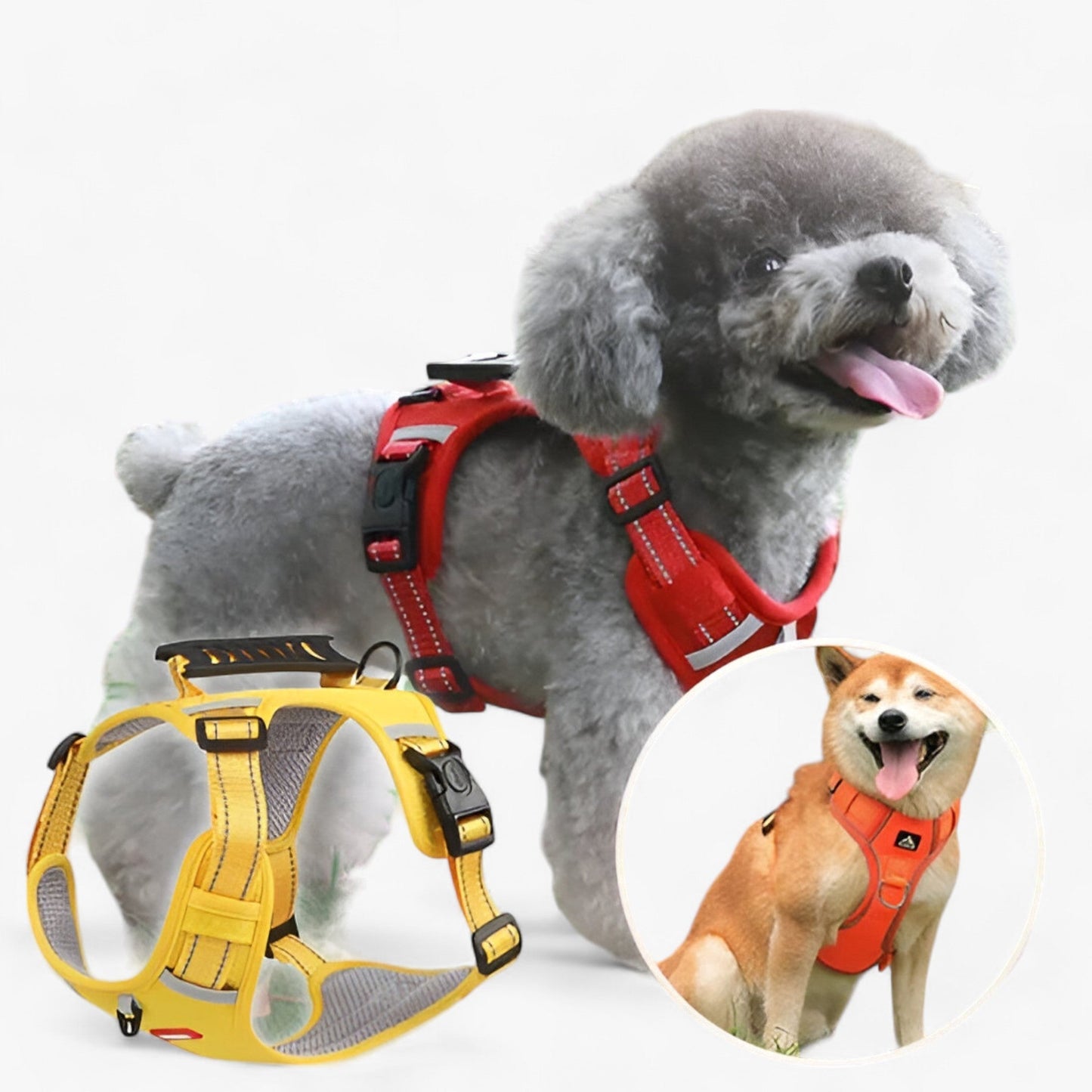 Buddy | Hunde-Anti-Zug-Geschirr - Verbesserte Kontrolle