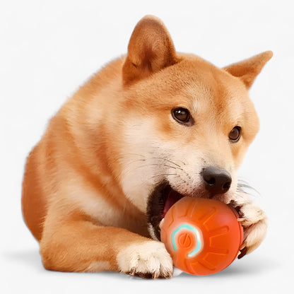 BOUNCY | Intelligentes Hundespielzeug - Engagierend und Interaktiv für Viel Spaß
