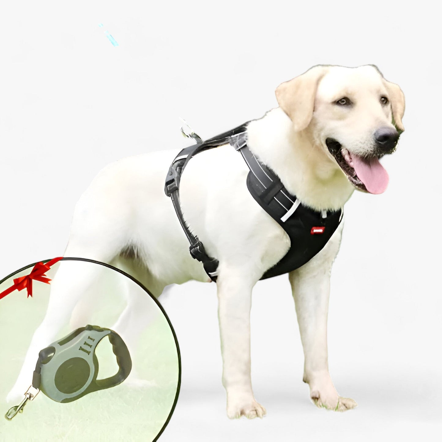 Buddy | Hunde-Anti-Zug-Geschirr - Verbesserte Kontrolle