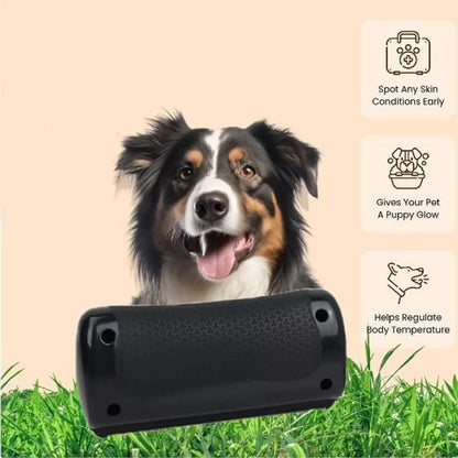 HairSwipe™ - Die Bürste für jeden vierbeinigen Freund!